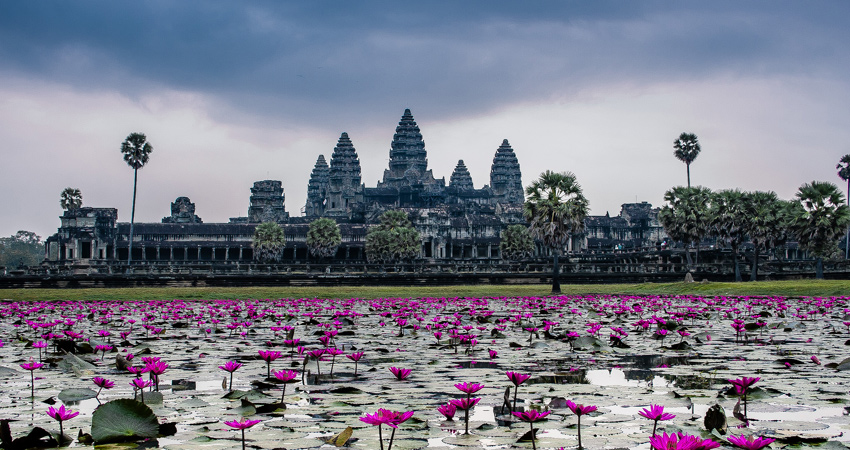 Angkor Wat Temples Tour with Entrance Ticket and Lunch